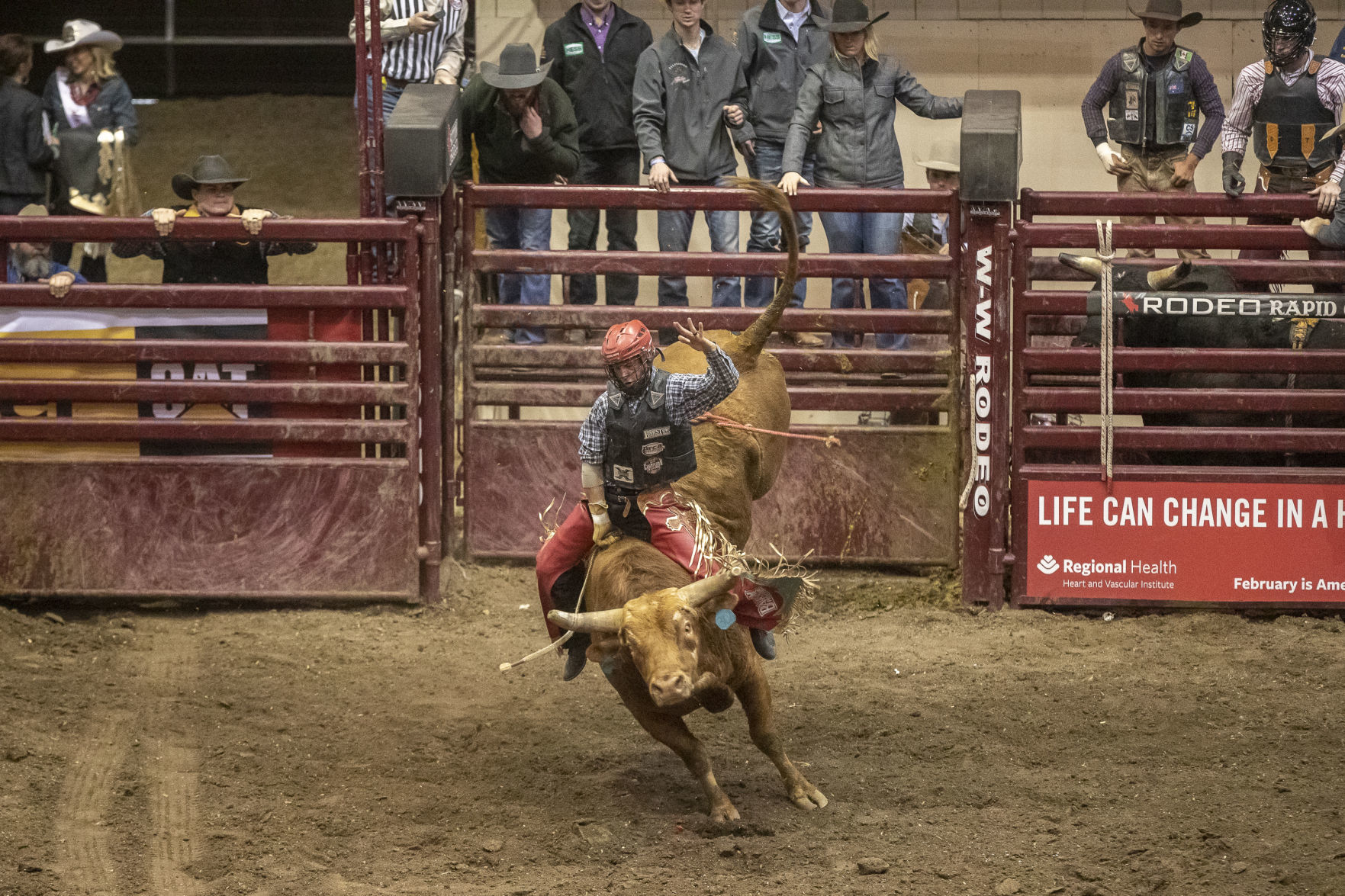 Rodeo Rapid City
